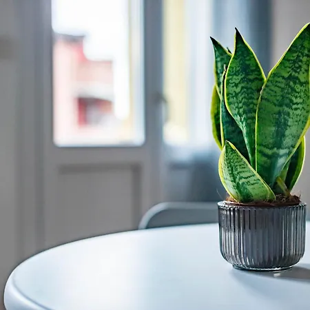 Tiny House La Grola *